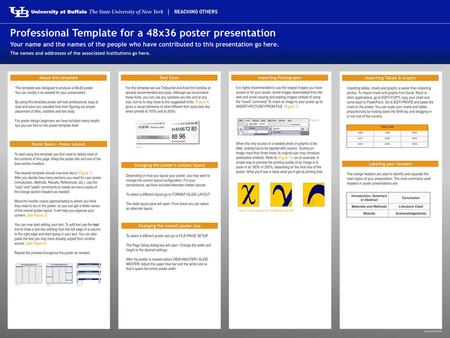 Professional Template for a 48x36 poster presentation