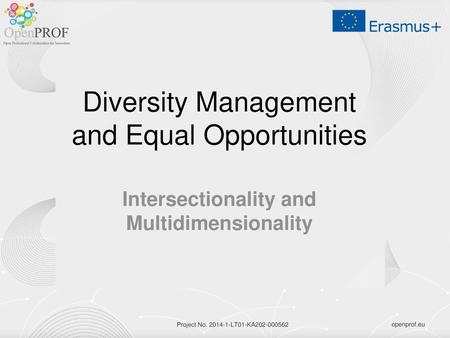 Diversity Management and Equal Opportunities