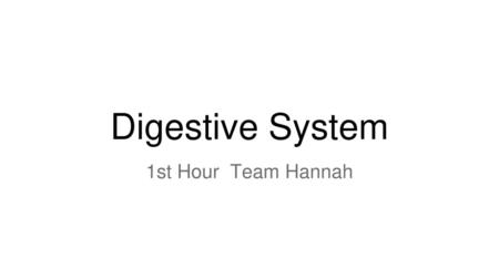 Digestive System 1st Hour Team Hannah.