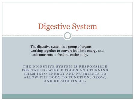 Digestive System The digestive system is a group of organs working together to convert food into energy and basic nutrients to feed the entire body. The.