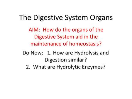 The Digestive System Organs