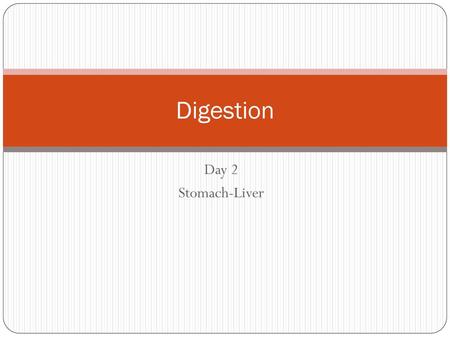 Digestion Day 2 Stomach-Liver.