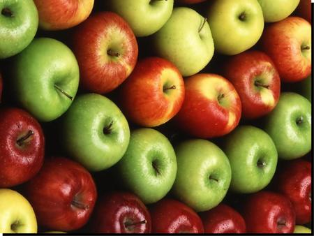 THE APPLE –ROMANIAN VARIETIES