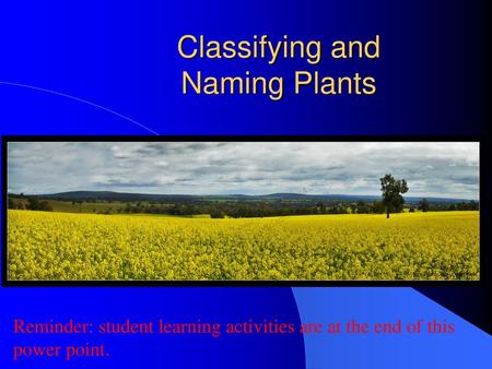 Classifying and Naming Plants