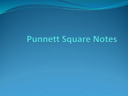 Punnett Square Notes.