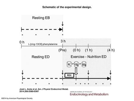 Schematic of the experimental design.