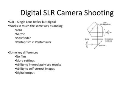 Digital SLR Camera Shooting