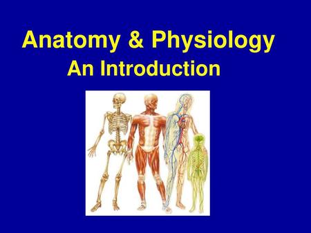 Anatomy & Physiology An Introduction