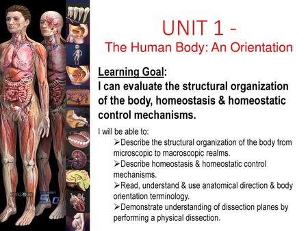 UNIT 1 - The Human Body: An Orientation