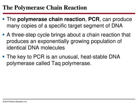 The Polymerase Chain Reaction