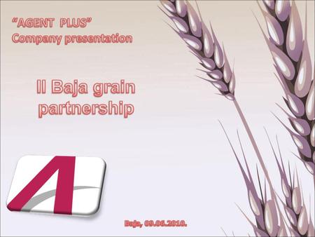 II Baja grain partnership