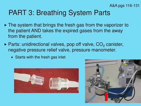 PART 3: Breathing System Parts