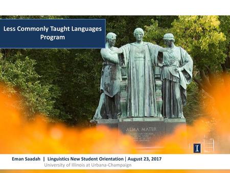 Less Commonly Taught Languages Program