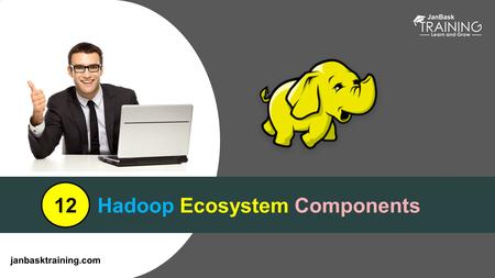 Janbasktraining.com Hadoop Ecosystem Components 12.