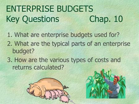 ENTERPRISE BUDGETS Key Questions Chap. 10