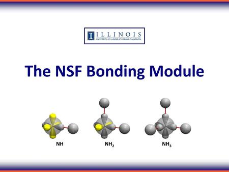 The NSF Bonding Module NH NH2 NH3.