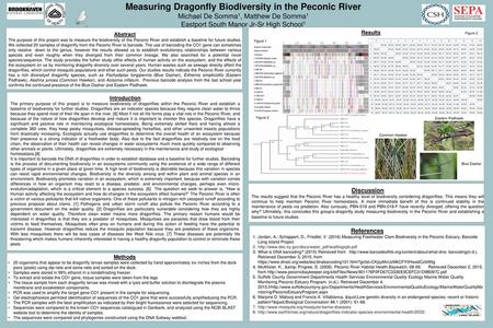 Measuring Dragonfly Biodiversity in the Peconic River