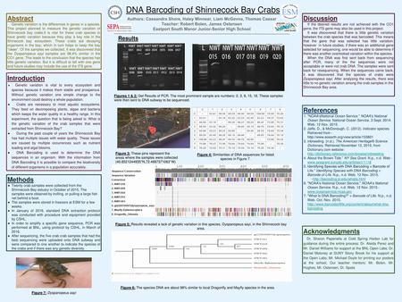 DNA Barcoding of Shinnecock Bay Crabs