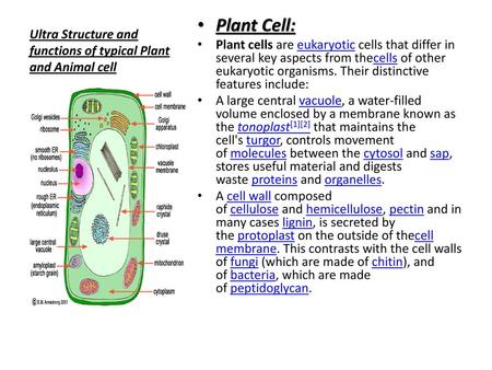 Ultra Structure and functions of typical Plant and Animal cell