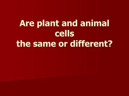 Are plant and animal cells the same or different?