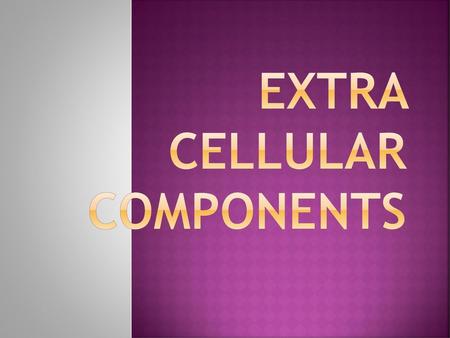 Extra cellular components