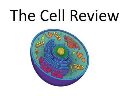 The Cell Review.