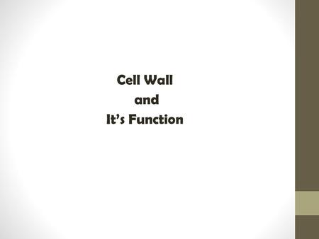 Cell Wall and It’s Function.