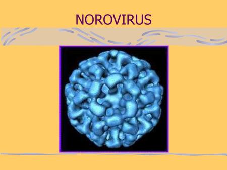 NOROVIRUS.