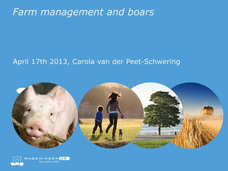 Farm management and boars