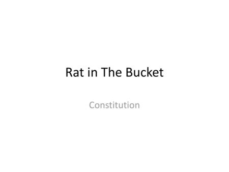 Rat in The Bucket Constitution.