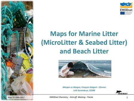 Maps for Marine Litter (MicroLitter & Seabed Litter) and Beach Litter