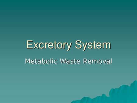 Metabolic Waste Removal