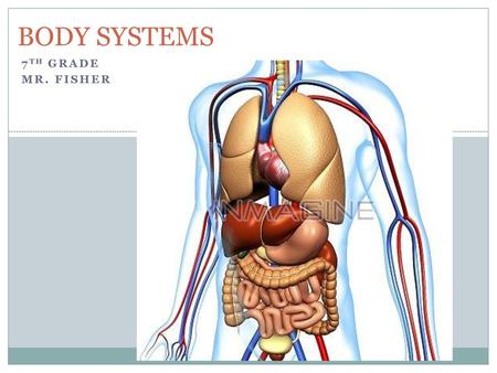 BODY SYSTEMS 7TH GRADE mr. fisher.