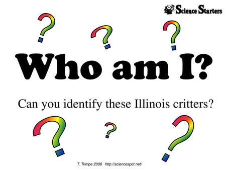 Can you identify these Illinois critters?