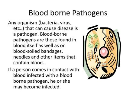 Blood borne Pathogens Any organism (bacteria, virus, etc..) that can cause disease is a pathogen. Blood-borne pathogens are those found in blood itself.