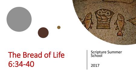 Scripture Summer School 2017