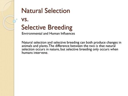 Natural Selection vs. Selective Breeding