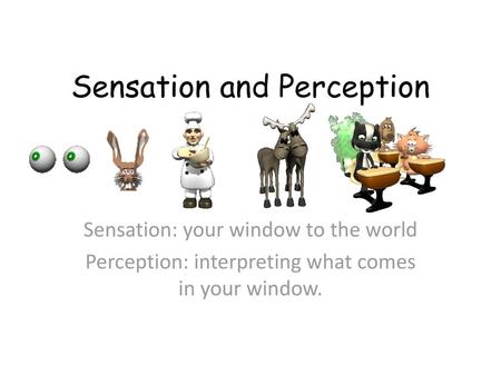 Sensation and Perception