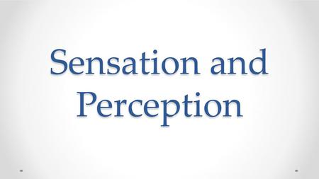 Sensation and Perception