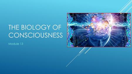 The Biology of Consciousness