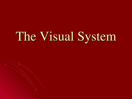 The Visual System.