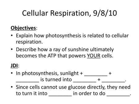 Cellular Respiration, 9/8/10