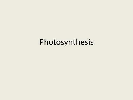 Photosynthesis.