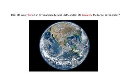 Does life simply live on an environmentally static Earth, or does life determine the Earth’s environment?