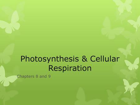 Photosynthesis & Cellular Respiration