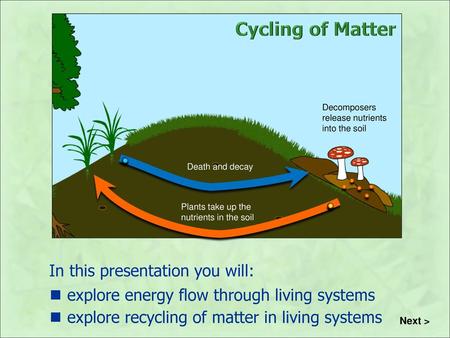 Cycling of Matter In this presentation you will: