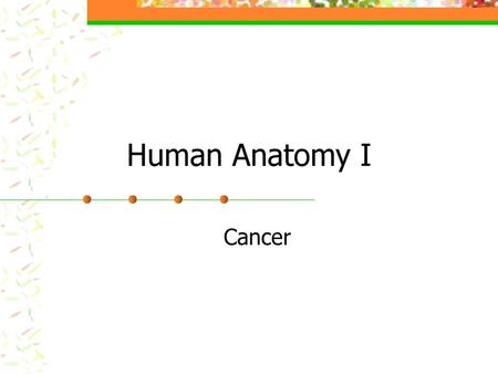 Human Anatomy I Cancer.