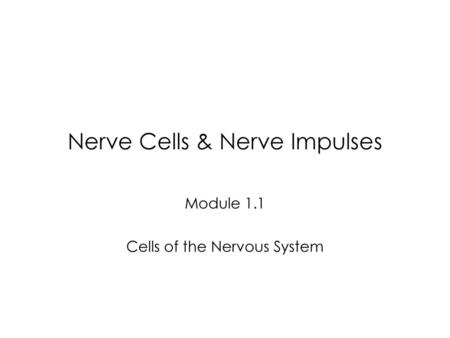 Nerve Cells & Nerve Impulses