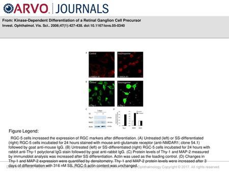 Invest. Ophthalmol. Vis. Sci ;47(1): doi: /iovs Figure Legend: