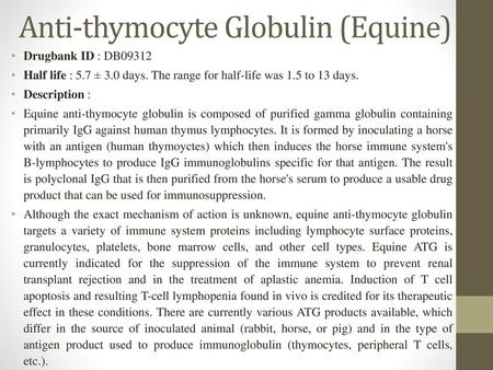 Anti-thymocyte Globulin (Equine)